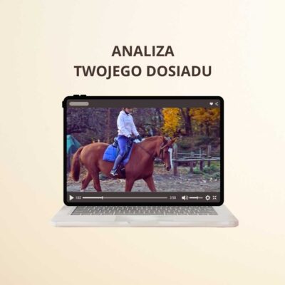 Analiza dosiadu On-line