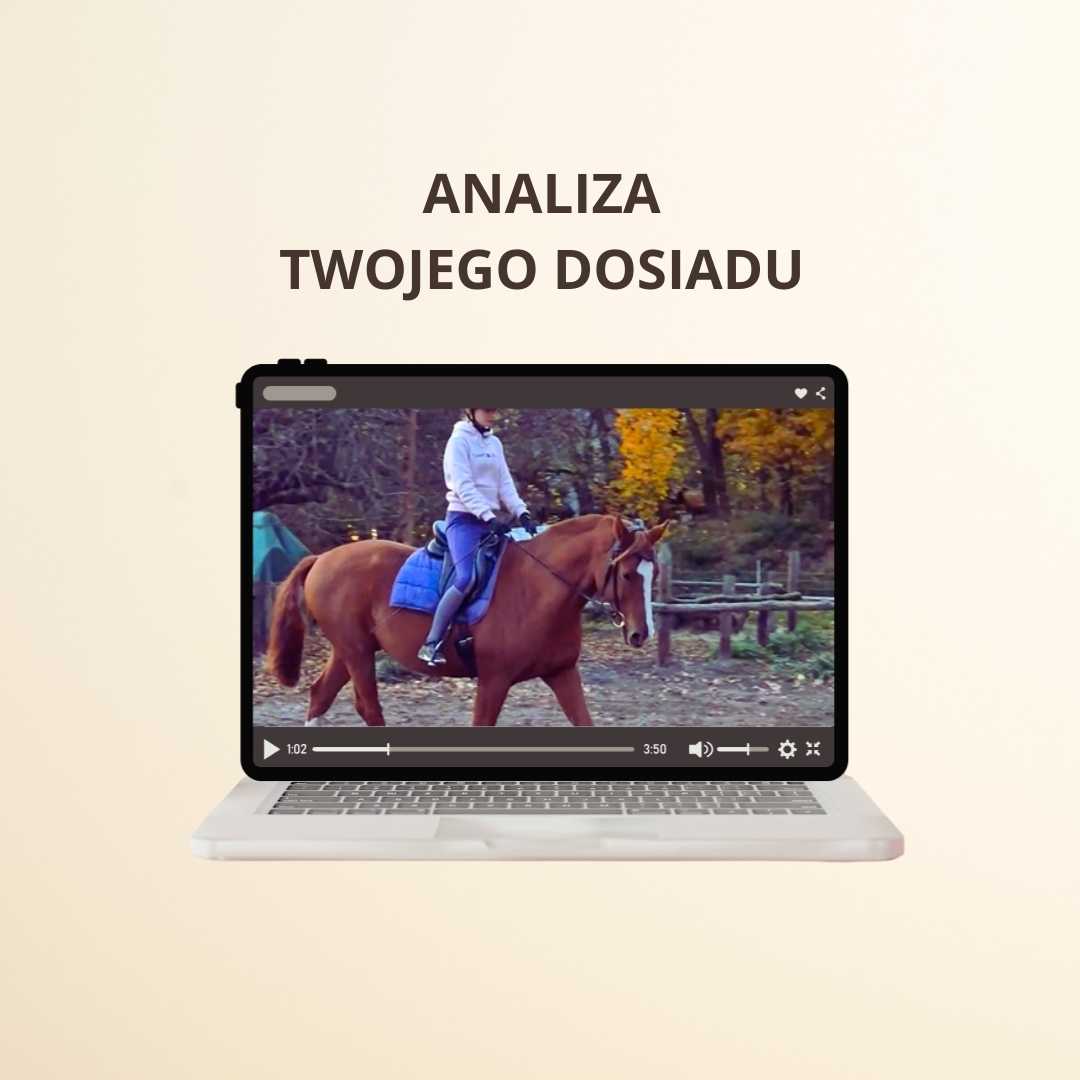 Analiza dosiadu On-line